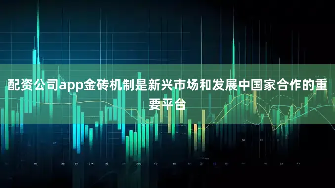 配资公司app金砖机制是新兴市场和发展中国家合作的重要平台