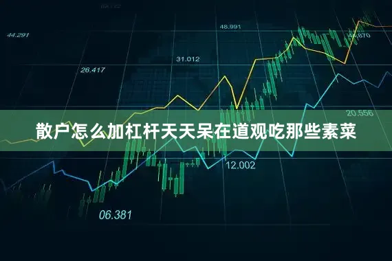 散户怎么加杠杆天天呆在道观吃那些素菜